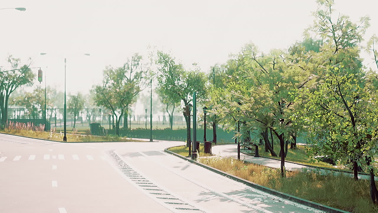 숲 한가운데 를 가로지르는 도로 의 사진