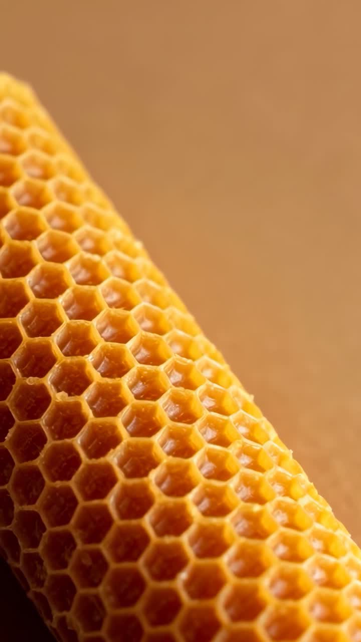 Vertical video: Shifting camera framing rolled honeycomb, revealing hex cells over warm studio set