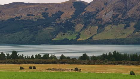 Helicóptero-Sobrevuela-El-Lago-Wakatipu-Explorando-La-Belleza-Natural-De-Glenorchy.