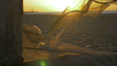 Slow-motion-footage-of-a-Spitz-dog-sniffing-on-a-beach-at-sunset