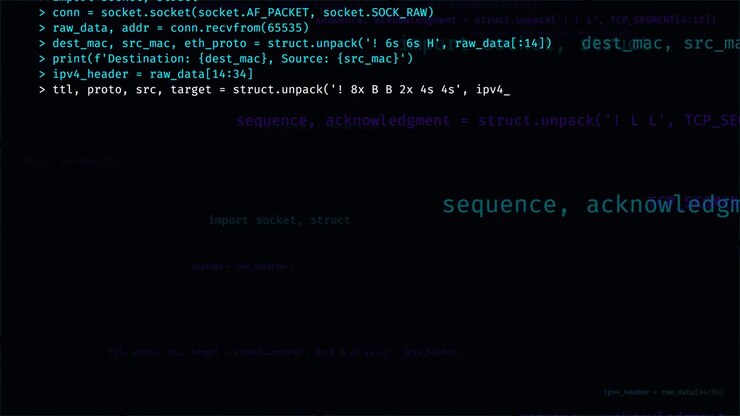 Python Script Writing Network Packet Analysis Code