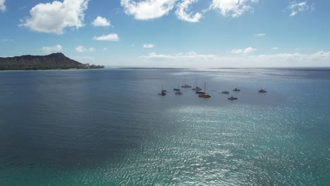 the reef at the harbor