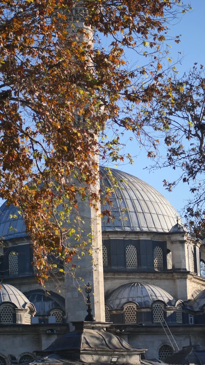 Cupola e minareto di una moschea storica visti tra le foglie autunnali