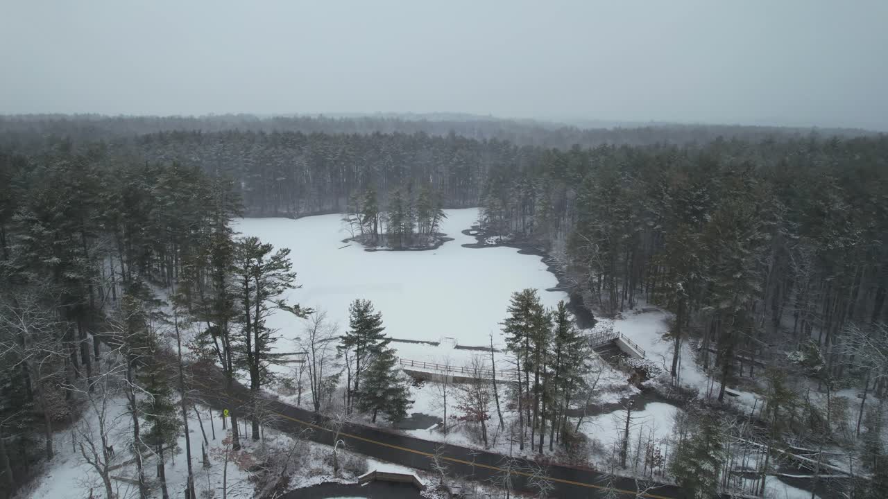 Ilmakuva lumisesta tiestä, joka mutkittelee huuruisten mäntyjen välissä, Harold Parkerin osavaltion metsä, Massachusetts, USA