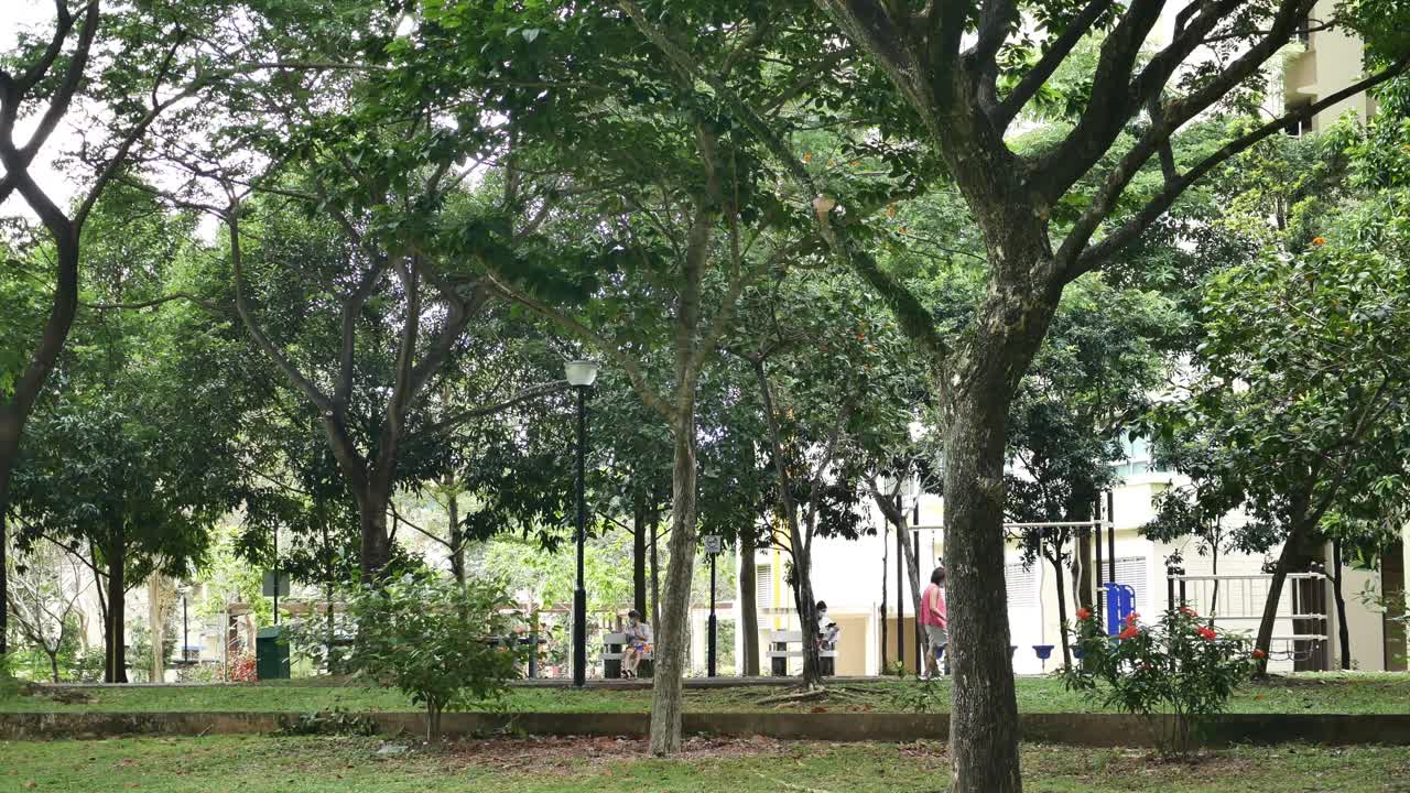 parque urbano pacífico con exuberante vegetación y gente relajada