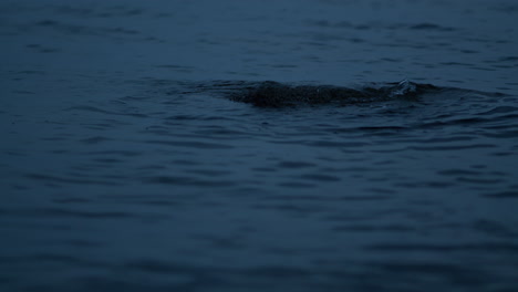 water flowing round rock at sea, dark evening light