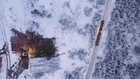 aerial drone shot 18 wheeler loaded with mature pine timber drives on dirt roads in snow covered winter logging camp, before sunrise at dawn