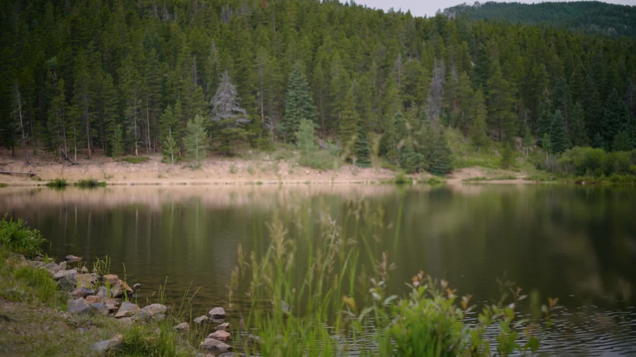 Experience the mesmerizing transformation from a close-up focus on grass and weeds to the stunning reveal of a majestic mountain vista