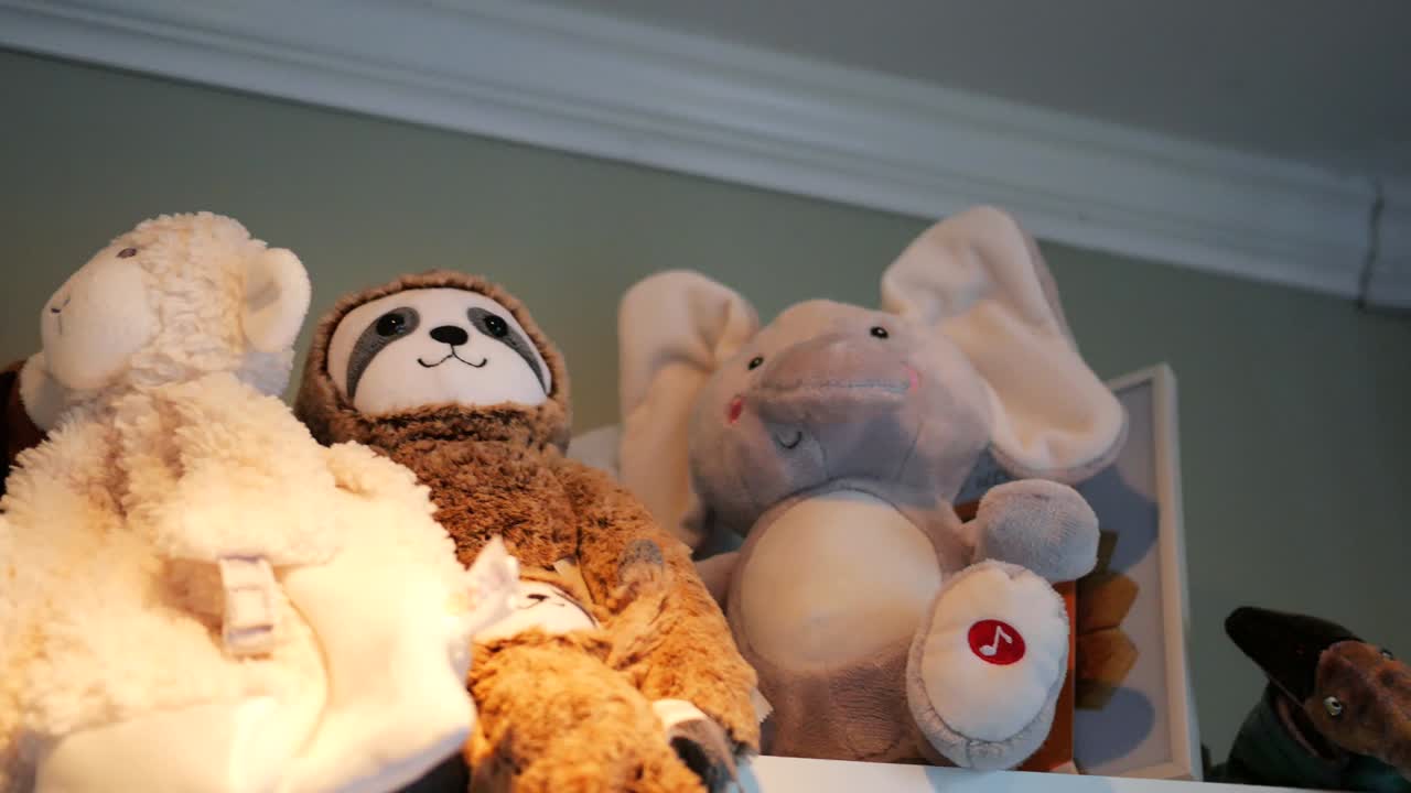 선반 에 있는 어린이 들 의 플러시 동물 들 을 가로지르는 - 트랙 라이트 버전