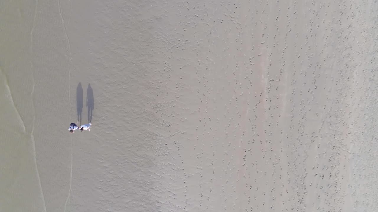 화창한 여름 동안 벨기에 해안에서 북해의 모래 해변을 걷는 사람들