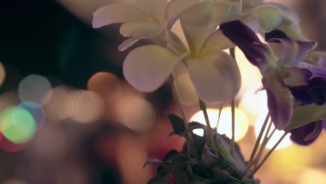 wooden sticks with flowers in pineapple against bright bokeh