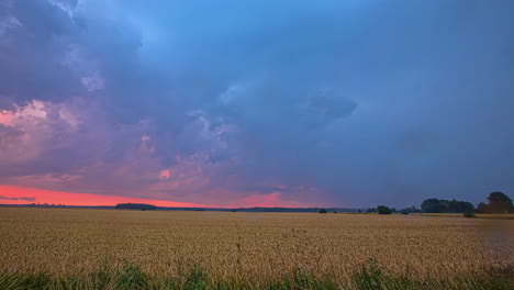 Timelapse-of-blue-cloud-movement-over-the-field-of-ripe-wheat