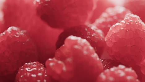 micro video of close up of raspberries with copy space