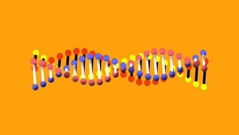 animation of dna rotating on orange background and in black circular scanner