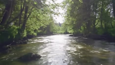 experience the tranquility of a peaceful river flowing gently through a vibrant landscape filled with lush trees and natural beauty. feel the soothing ambiance of nature in this serene setting.