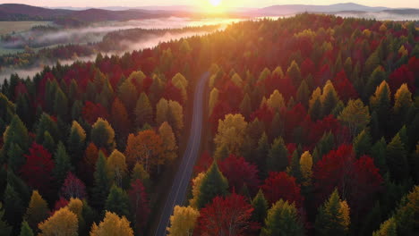 autumn forest road sunrise