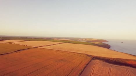 Drone-footage-of-golden-fields-