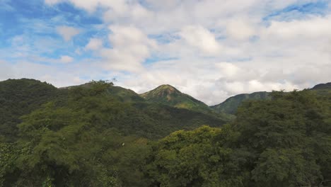 A-bird's-eye-view-of-the-Atlantic-Forest-with-mountains-in-the-background,-in-South-America