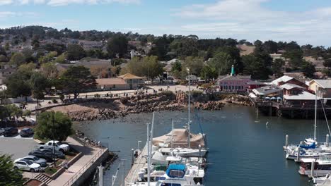 low panning aerial shot of a large group of sea lions playing in the water and relaxing on the shoreline at the old fisherman's wharf in monterey, california