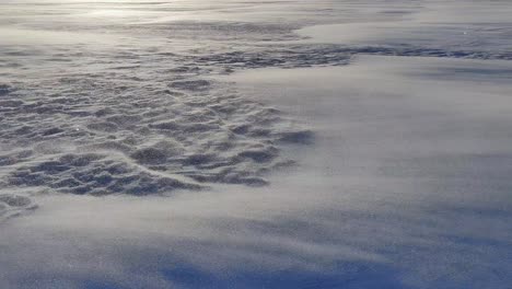 winter scenery with snow moving in the wind