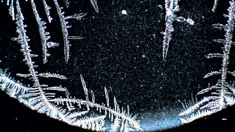 close-up of intricate ice crystal formations