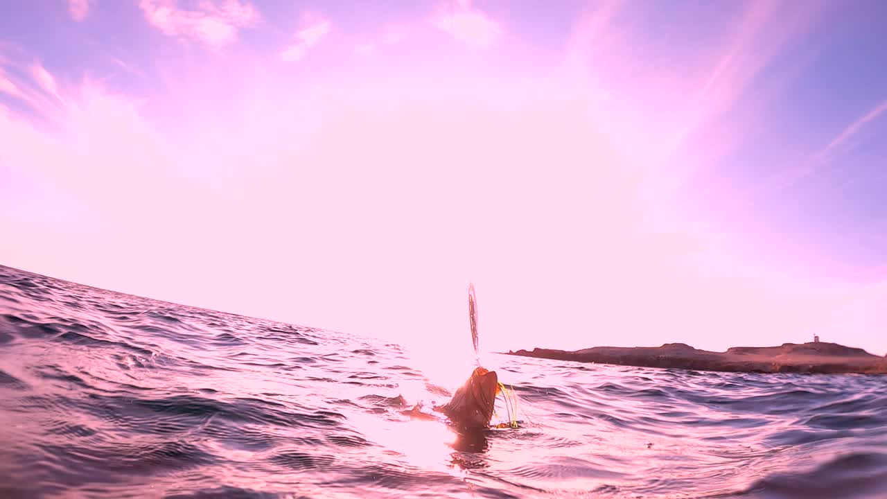 루어 호이스트 웅장한 옥양목 농어 백라이트 실루엣