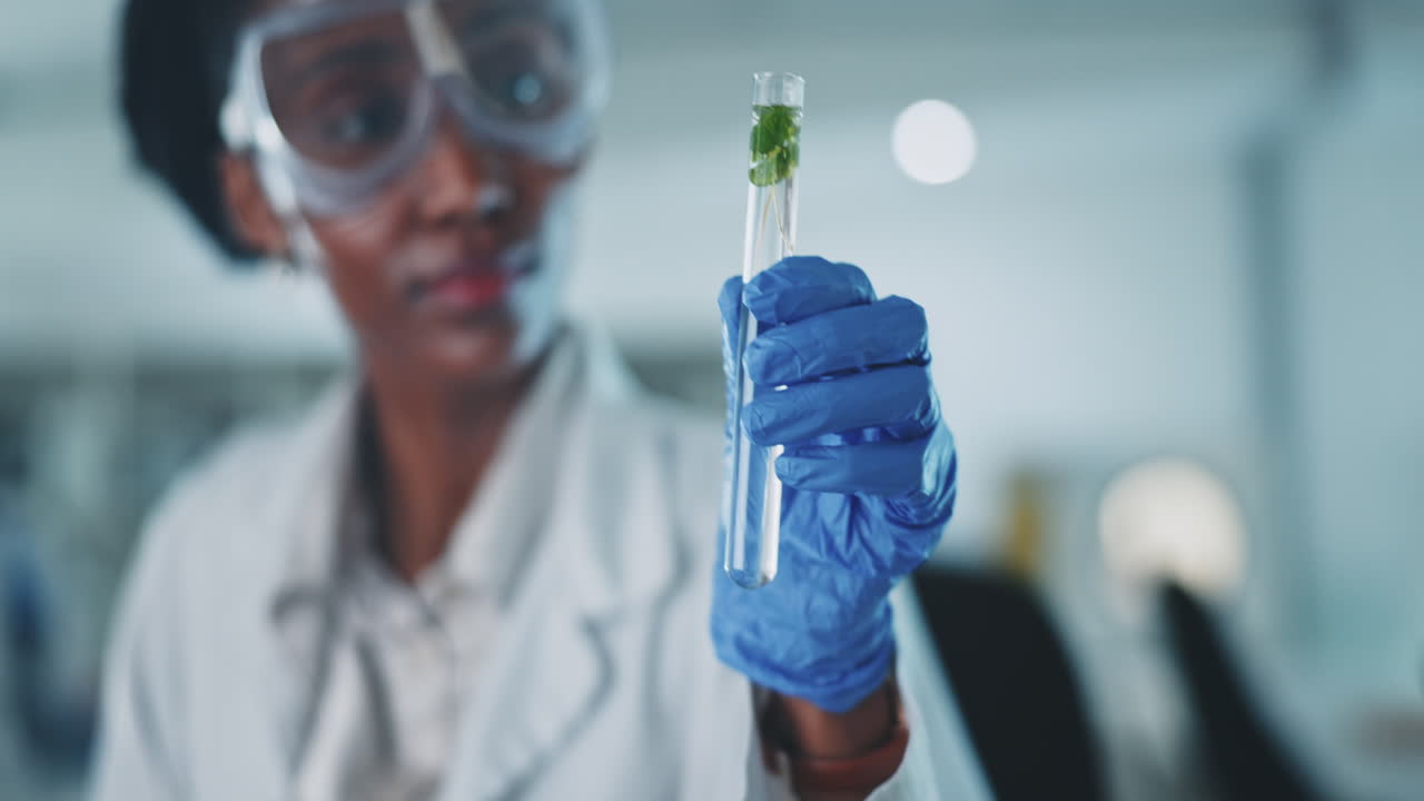 Test tube, leaves and science