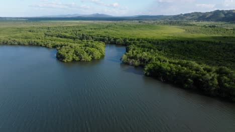 cano hondo river crossing lush forest, dominican republic