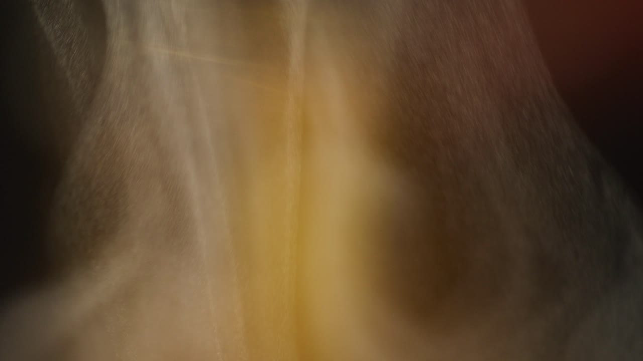 Mist Macro Bokeh Background Slow Motion 4K