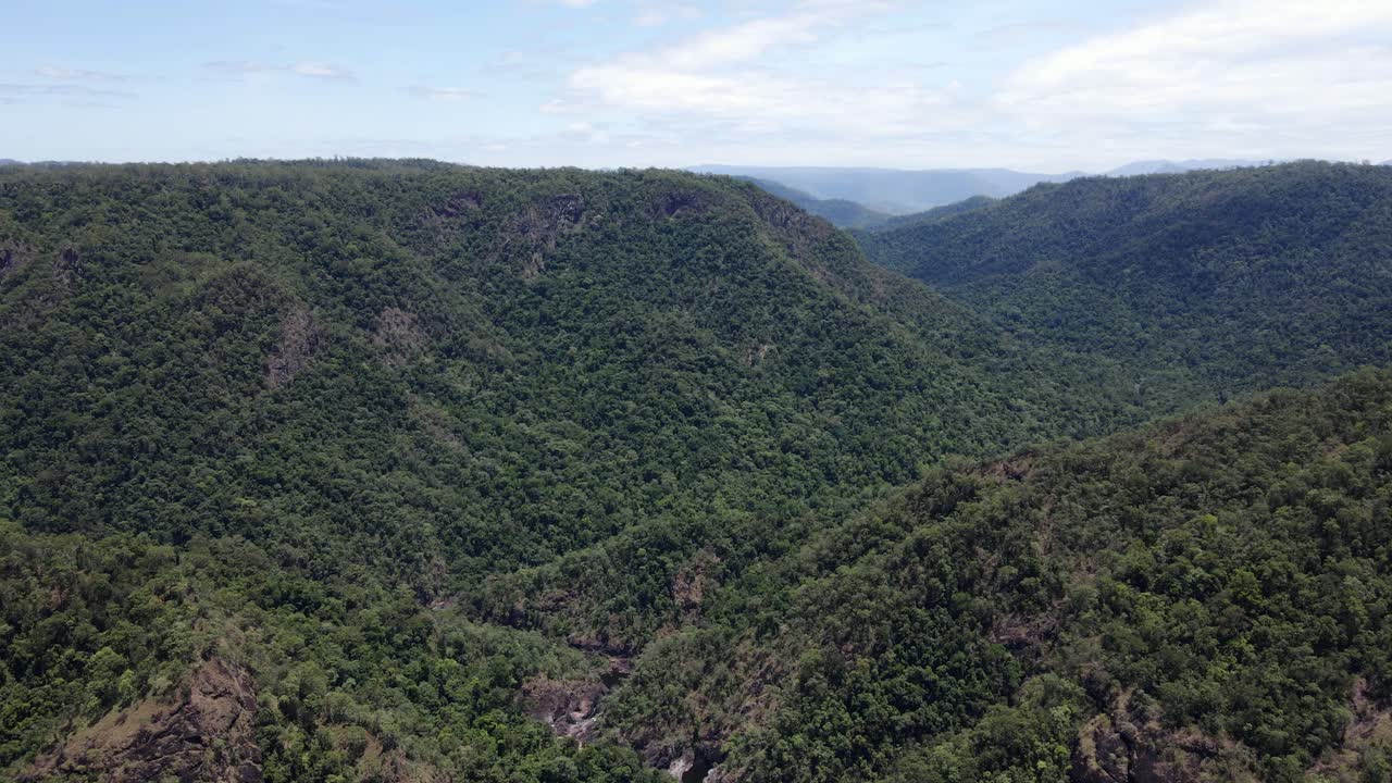 bosque del parque nacional girringun durante el día en qld, australia