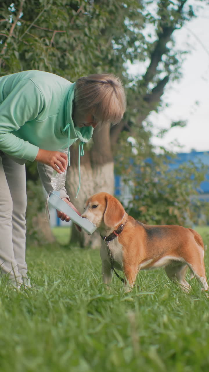 공원에서 비글에게 물병을 건네는 사람, 보호자가 몸을 굽혀 휴대용 그릇에 물을 따라주고, 녹색 나무와 도시 배경, 야외 수분 보충 장면, 산책 중 신뢰 관계와 부드러운 보살핌