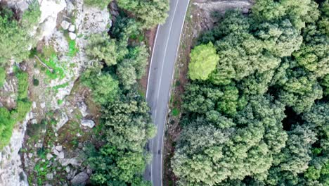 curvy road through green forested mountain range, drone aerial view