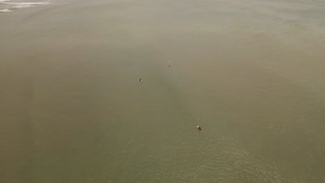 Aerial-top-down-shot-surfer-group-paddling-with-board-on-Atlantic-Ocean-in-Uruguay