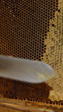 electric knife cutting off the tops on the honeycombs filled with liquid fresh organic honey. apiarist prepares the frames for honey removal. vertical video