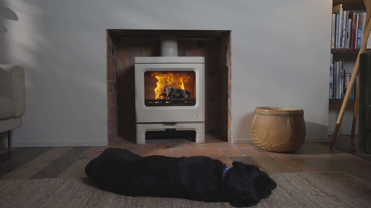 불 앞 에 누워 있는 개