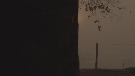 pantanal smoky landscape revealed during fire, sunrise