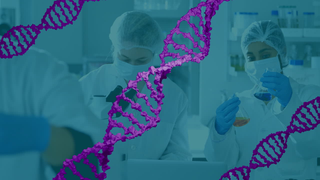 Lab scientists using microscope in biology lab while comparing colored flasks, showing DNA graphics