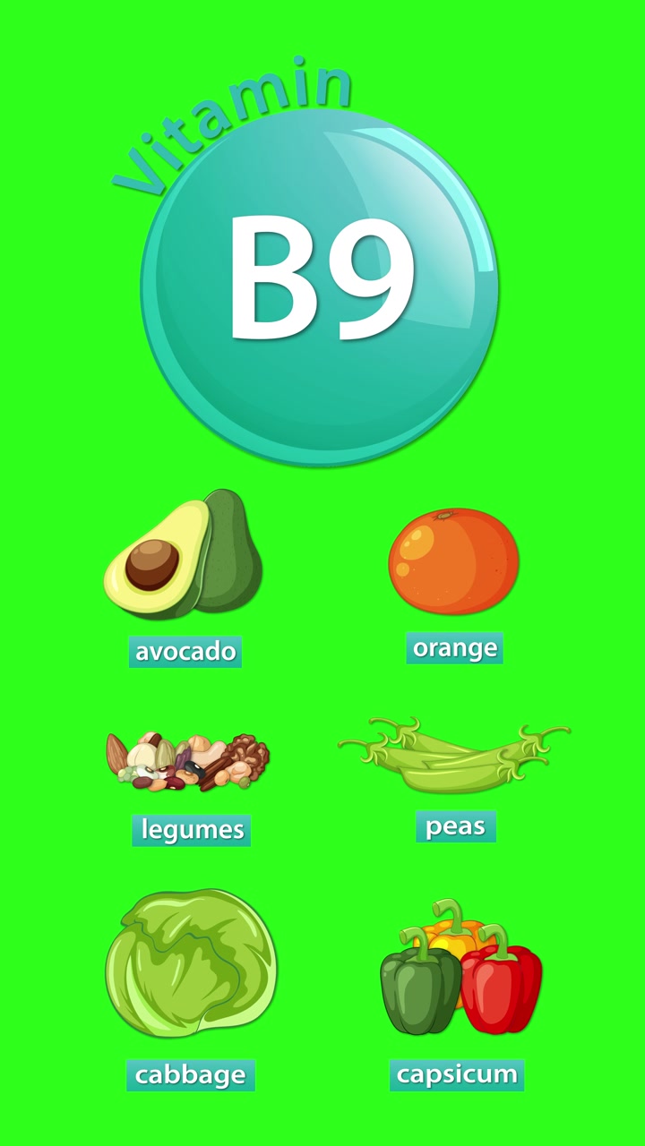 Infografica animata rivela le fonti di vitamina B9, utilizzando icone colorate e transizioni fluide su sfondo verde