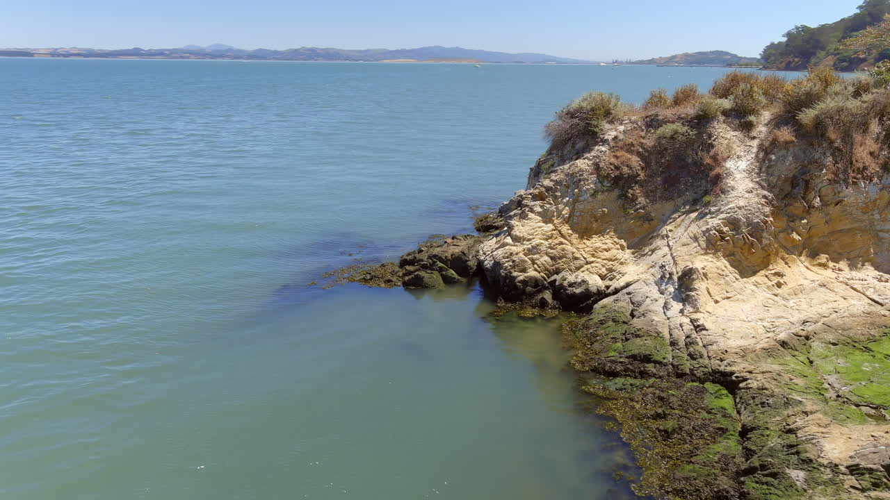 Mallard Ducks Resting On The Rocky Shore Of Rat Rock Island In Summer In California, USA