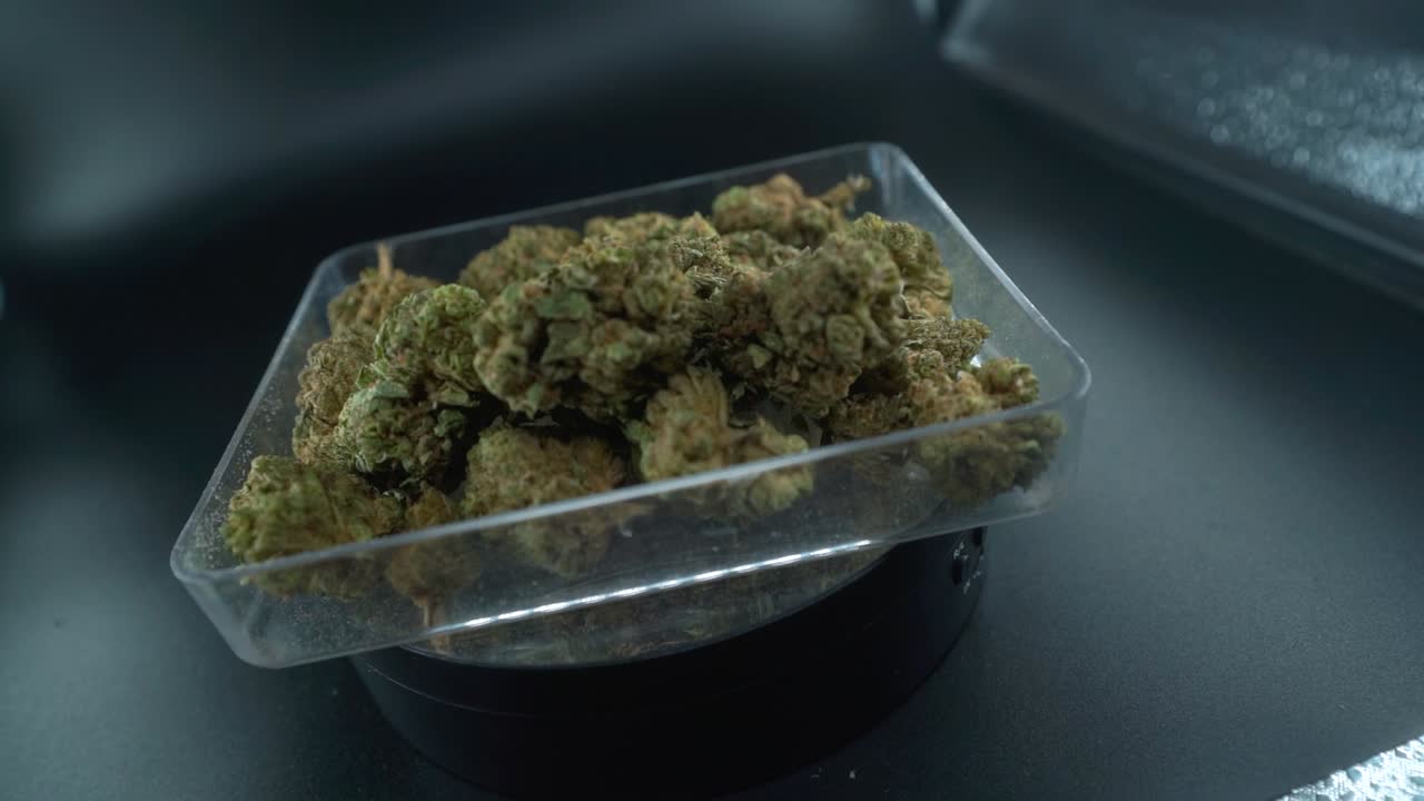 대마초 식물의 자세한 크레인 움직임, 명확한 접시에 대마초 꽃, 하이브리드 품종, 인디카 및 사티바, 120fps 느린 동작 풀 hd, 영화 스튜디오 조명