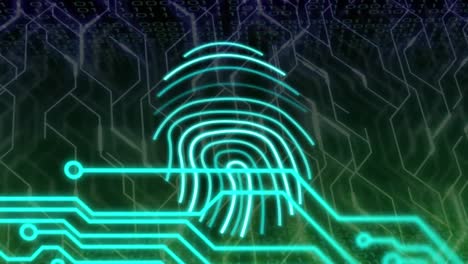 Animation-of-biometric-fingerprint,-data-processing-over-computer-circuit-board