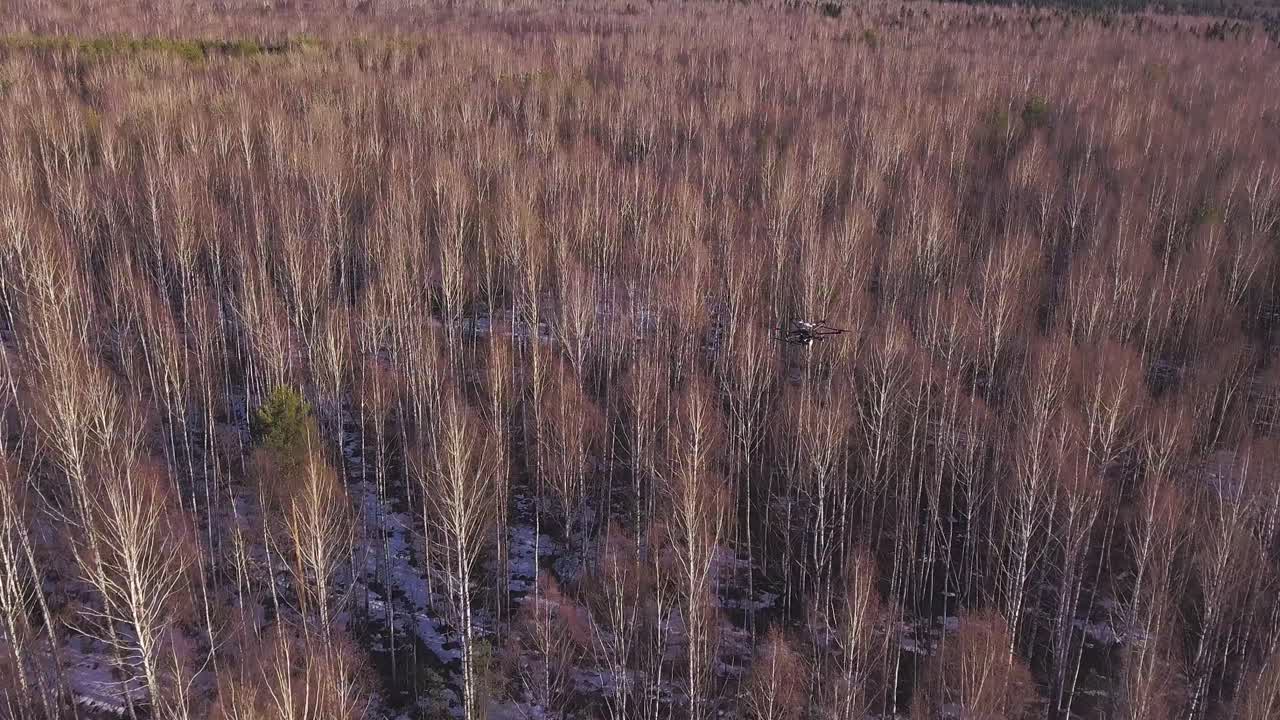 겨울 숲의 드론 촬영