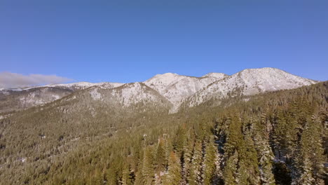 pull away from mountain peak and over douglas fir trees in lake tahoe, nevada on a beautiful clear blue sky day