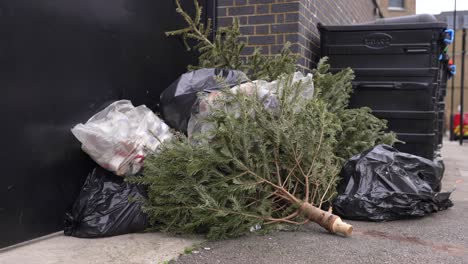 dead christmas trees thrown away on the pavement in the street, with trash, ecologic and environment issue