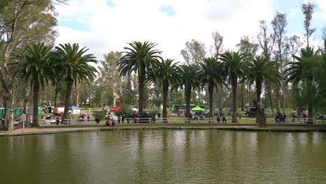 panorama del lago artificial y palmeras en el parque de mayo en bahia blanca, buenos aires, argentina