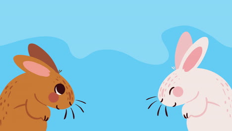 cute rabbits animals farm characters