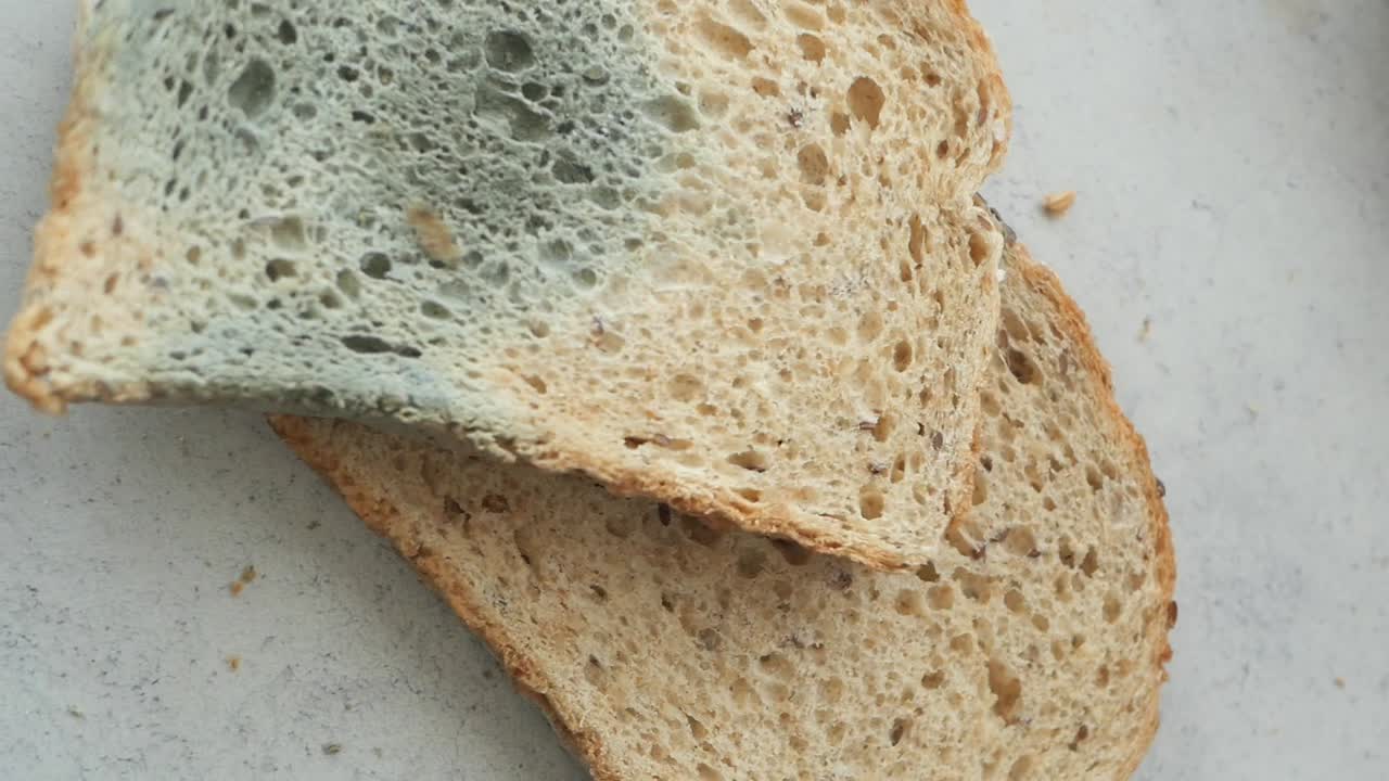 Moldy bread slices
