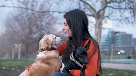 woman hugging and stroking her dogs while enjoying together outdoors in the park