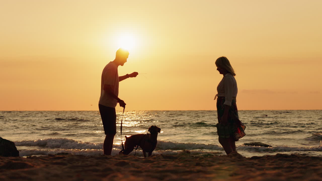 Couple and dog enjoying a peaceful sunset on the beach