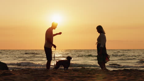 couple and dog enjoying a peaceful sunset on the beach